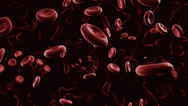 glóbulos vermelhos flutua fundo escuro cgi render 3d - red blood cell blood cell blood cell - fotografias e filmes do acervo