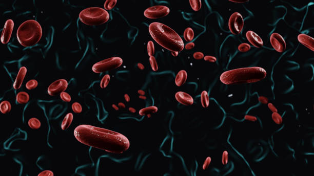 red blood cells floats dark background cgi render 3d - red blood cell imagens e fotografias de stock