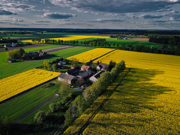 istock entral European countryside 1216421442