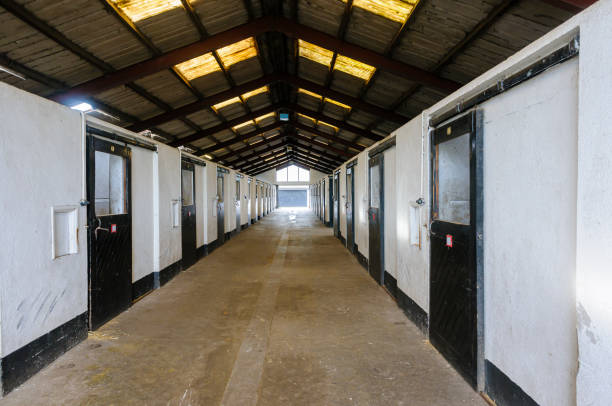 istock Stable block at a large horse stud farm 1216423656
