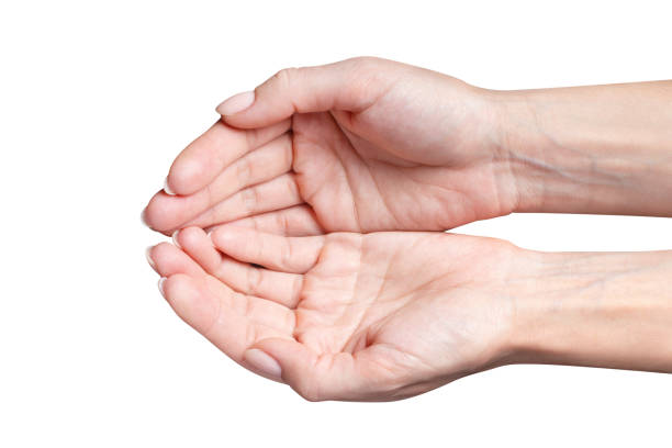istock Open female hands put together on white 1216424795