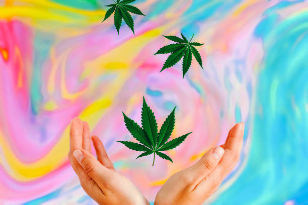 liście marihuany lecą w dół i wpadają w ręce kobiet na psychodelicznej niewyraźne tło - psychedelic smoke colors green zdjęcia i obrazy z banku zdjęć