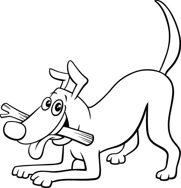 cartoon dog character with stick color book page Black and White Cartoon Illustration of Playful Dog Comic Animal Character with Stick Coloring Book Page dog clipart stock illustrations
