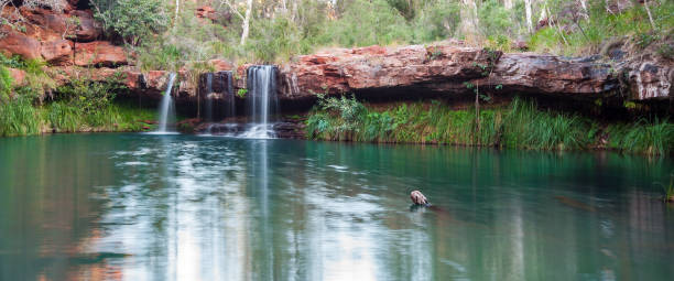 istock Fern Pool - Karijini National Park 1216426371