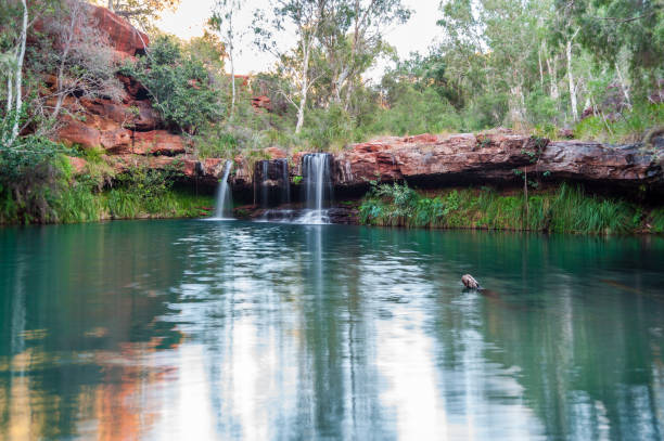 istock Fern Pool 2 - Karijini National Park 1216426382