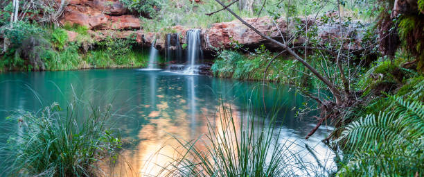 istock Fern Pool 3 - Karijini National Park 1216426383