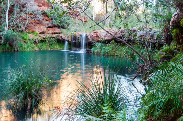 istock Fern Pool 4 - Karijini National Park 1216426403