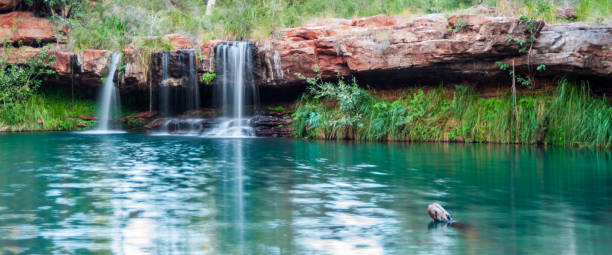 istock Fern Pool 6 - Karijini National Park 1216426430
