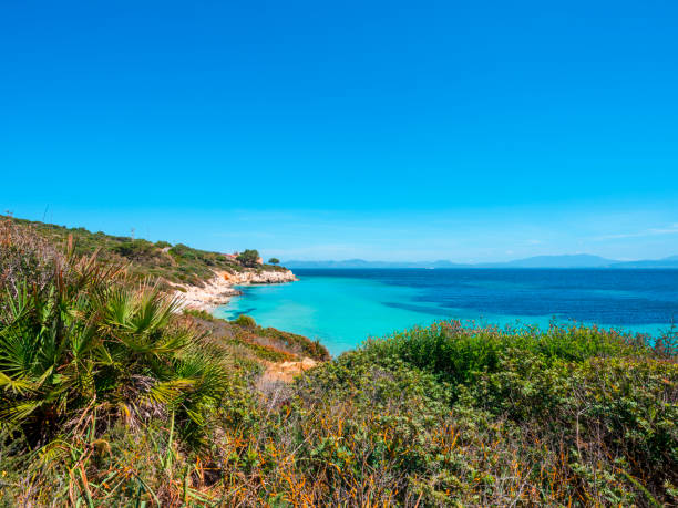 Portixeddu beach - Sardinia Beach and cliffs of Portixeddu overlooking the turquoise sea of Sant'Antioco - Sardinia Buggerru stock pictures, royalty-free photos & images