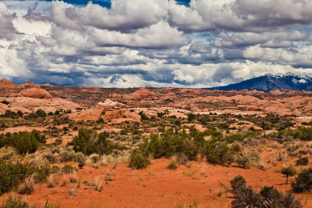 istock Desert scenery in the wild west 1216427058