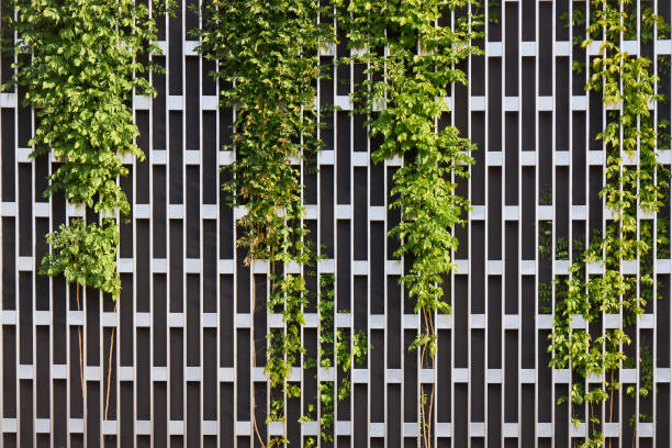 istock Metal wall in the form of a rectangular grid covering with growing plants as a background or backdrop 1216428169