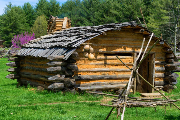 david crockett birthplace state park limestone,tennessee - birthplace - fotografias e filmes do acervo