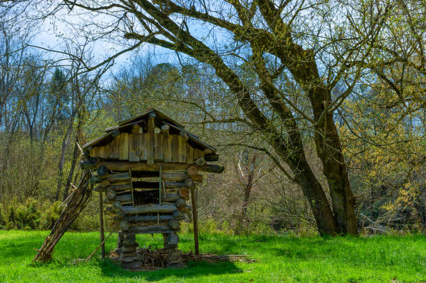 istock David Crockett Birthplace State Park Limestone,Tennessee 1216428433
