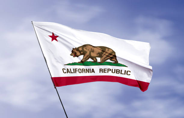 istock California state flag with ripple effect illustration 1216428705