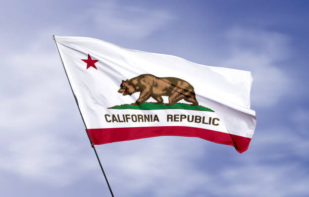 California state flag with ripple effect illustration California is the most populous U.S. state and the third-largest by area. human interest stock pictures, royalty-free photos & images