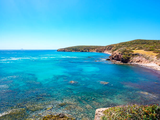 Cliff with Torre Cannai in the Sant'Antioco peninsula in Sardinia Torre Cannai on the cliff overlooking the turquoise sea of Sardinia Buggerru stock pictures, royalty-free photos & images