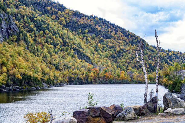 istock Adirondack State Park Rippling Mountain Lake 1216430795