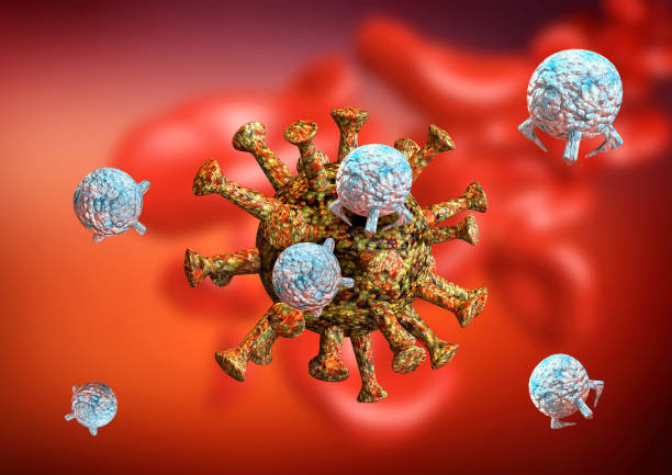 immune response against coronavirus and Covid-19. Antibodies activated by vaccine and drugs like hydroxychloroquine attacking viruses inside the human body. immune response against coronavirus and Covid-19. Antibodies activated by vaccine and drugs like hydroxychloroquine attacking viruses inside the human body. 3D rendering antiviral drug stock pictures, royalty-free photos & images