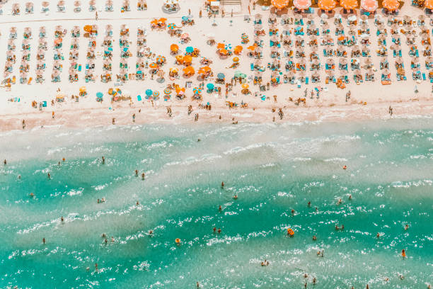 people having summer fun on the beach