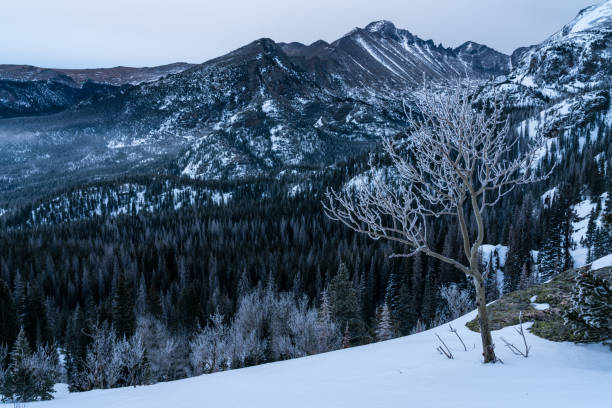 Rocky Mountain National Park - Estes Park, Colorado