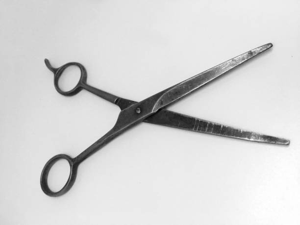 istock crazy hairdressing scissors fit for beard isolated on white background 1216432651