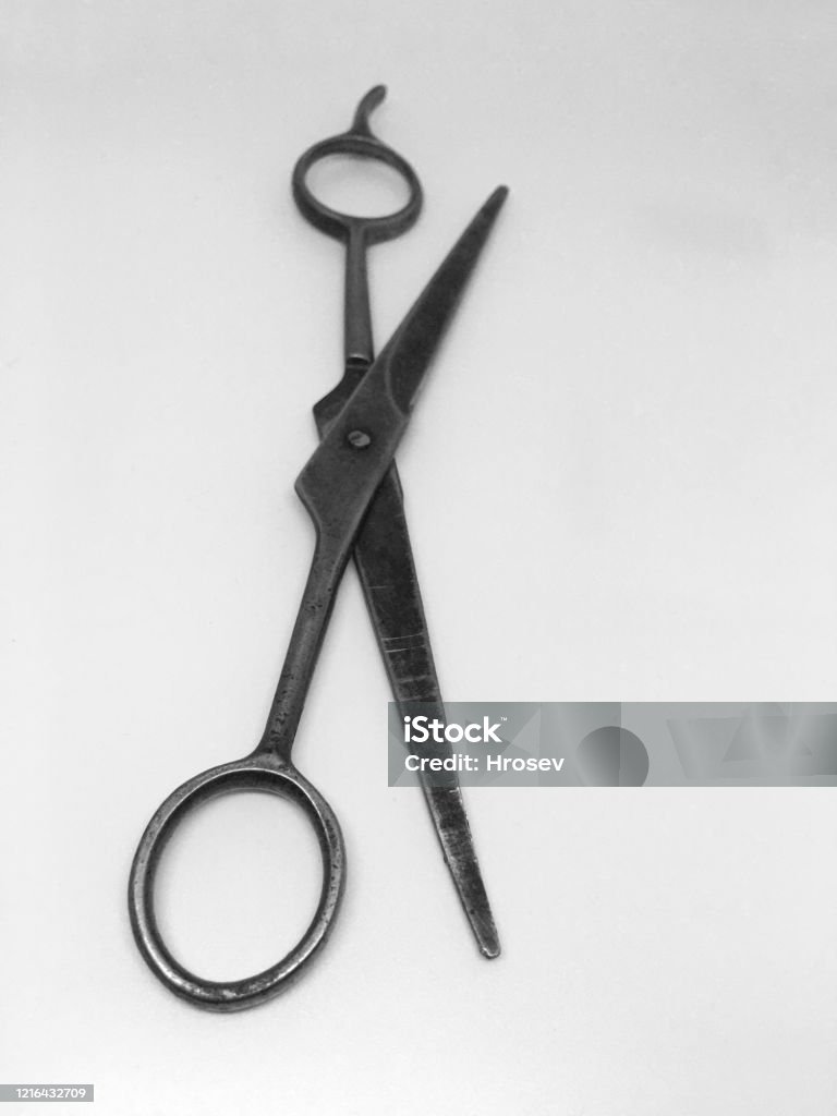 Crazy Hairdressing Scissors Fit For Beard Isolated On White Background  Stock Photo - Download Image Now - iStock