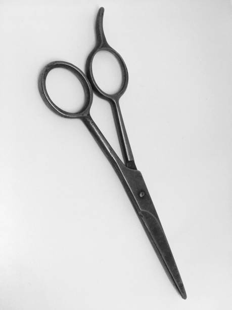 istock crazy hairdressing scissors fit for beard isolated on white background 1216432738