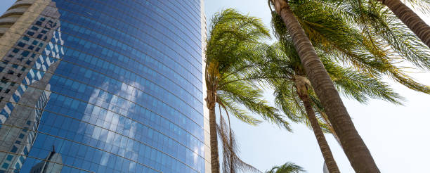 istock Background with glass-lined building with palm trees in the foreground 1216433775