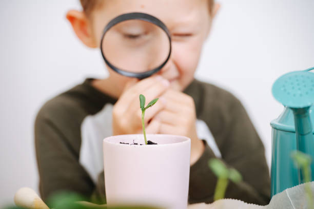 istock Little boy playing with a magnifying glass, looking at plant leaves through it 1216433963