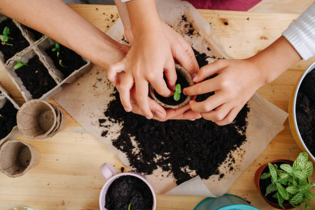 istock Four hands placing seedling in tiny pot with fertile black soil. Top view. 1216433977