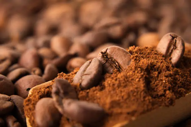 Fresh coffee beans and ground coffee macrophotography