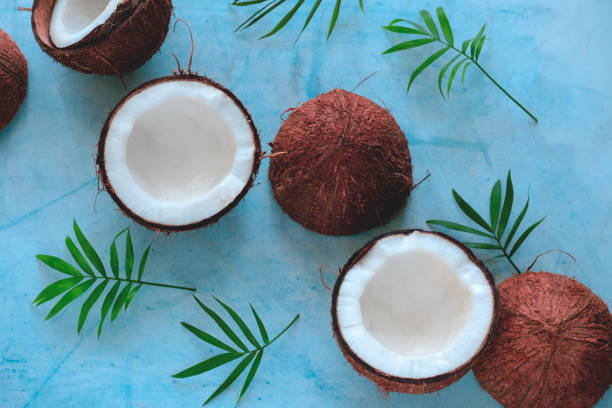istock coconut halves  on a blue background 1216434259