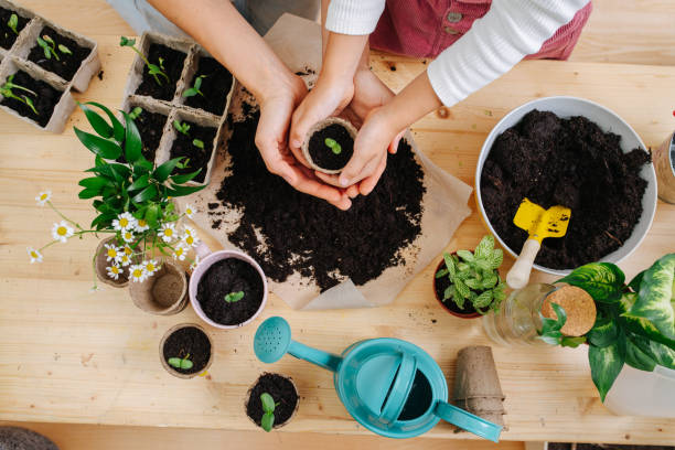istock Mother and daughter gently holding replanted seedling in tiny pot. Top view. 1216434789
