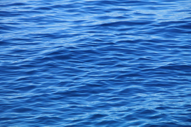 istock Surface of blue ocean background 1216435436