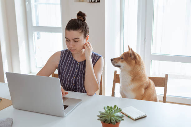 istock Young woman using laptop during COVID-19. Self-isolation and working from home concept. 1216437895