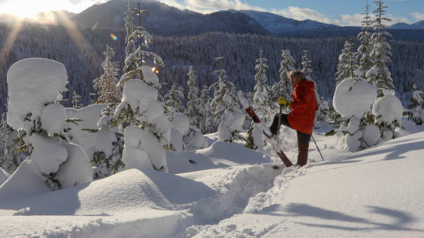 istock Backcountry skier rides through thick powder snow at sunrise 1216440541