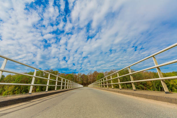 istock Elsloo Bridge between its white railings, pavement and towards the forest 1216442909