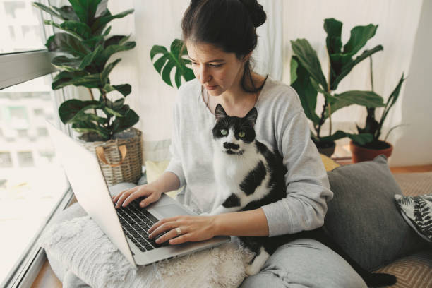 Casual girl working on laptop with her cat, sitting together in modern room with pillows and plants. Home office. Cute cat helping owner during quarantine, loyal companion. Stay home stay safe chica casual trabajando en el ordenador portátil con su gato, sentado juntos en la habitación moderna con almohadas y plantas. oficina en casa. lindo gato ayudando al dueño durante la cuarentena, compañero leal. permanezca en casa a salvo