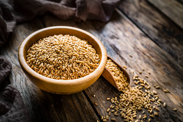 Oat grain on white background, top view.