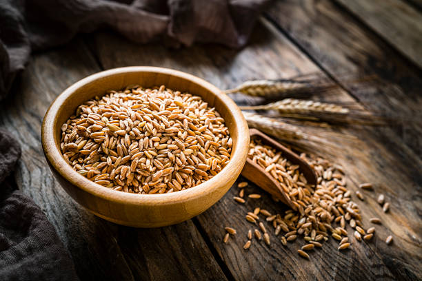 Healthy food: high angle view of a brown bowl filled with wholegrain wheat on a rustic wooden table. A wooden serving scoop is beside the bowl and some seeds are spilled out. The composition is at the left of an horizontal frame leaving useful copy space for text and/or logo at the right. Predominant color is brown. High resolution 42Mp studio digital capture taken with SONY A7rII and Zeiss Batis 40mm F2.0 CF lens