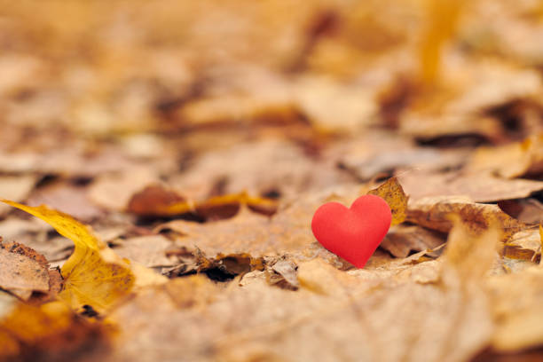 istock Infatuation or unrequited romantic love concept. 1216447009
