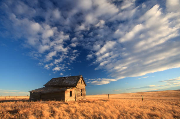 istock Abandoned House on the Great Plains 1216447716