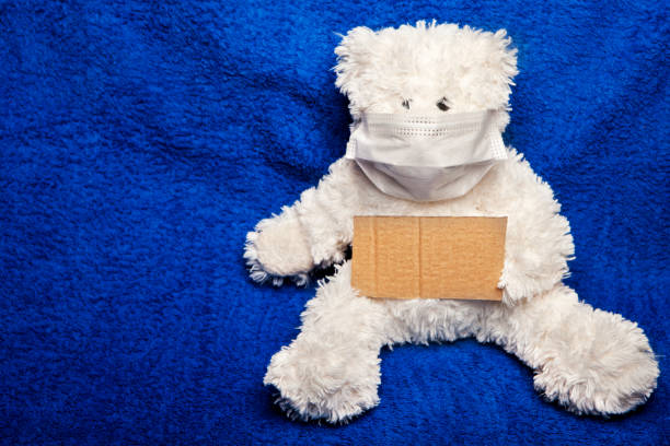 istock image of wool bear paper 1216449650