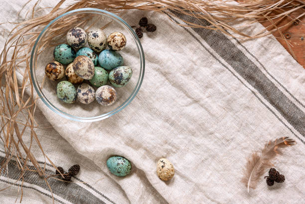istock Painted quail easter eggs in a glass plate. Easter card, copy space. Beige linen towel, feather, alder cones and dry grass. 1216452305