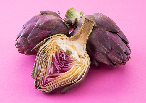 Artichoke flowers, purple edible buds isolated on pink background.
