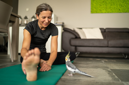 happy smiling mature woman during fitness workout on exercise mat at home looking at her animal friend pet bird cockatiel blurred on floor in foreground, staying at home during coronavirus crisis