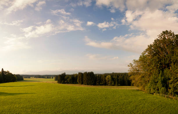 istock Landscape near Steingaden 1216454152