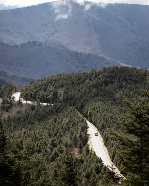 istock Hiking at Mt. Mitchell, North Carolina 1216459993
