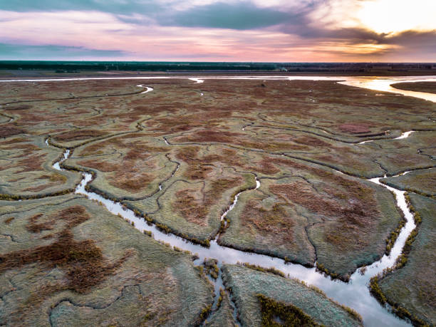 istock Aerial view of tidal marshland 1216461226