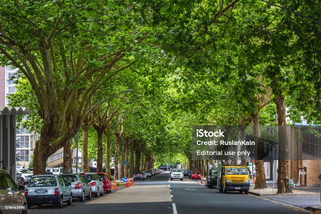 New Zealand editorial Green alley with parked cars. Auckland, New Zealand - December 15 2017. Albert Park Stock Photo